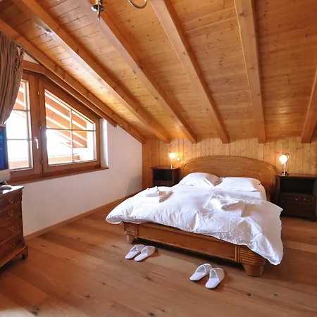 Haus Bergere Kocher Апартаменты Церматт